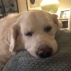 Meet your Posher, Helen